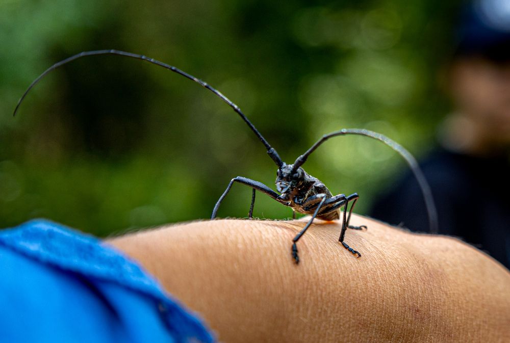 Photograph by Сильва Татьяна