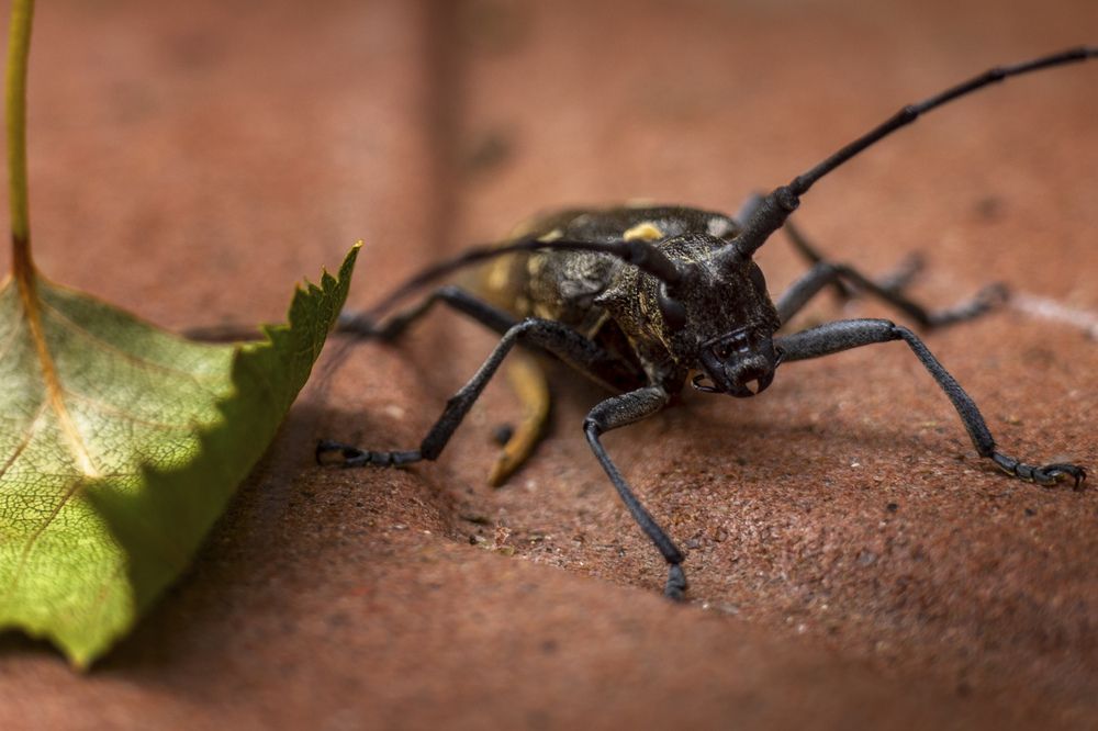 Photograph by Сильва Татьяна