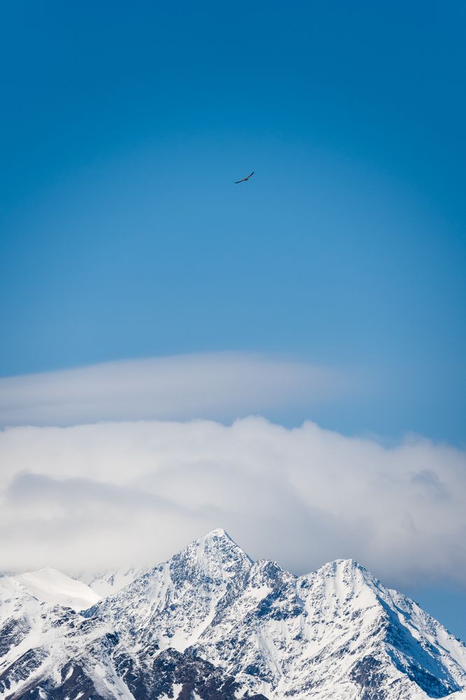 Photograph by Maria Pochikaeva