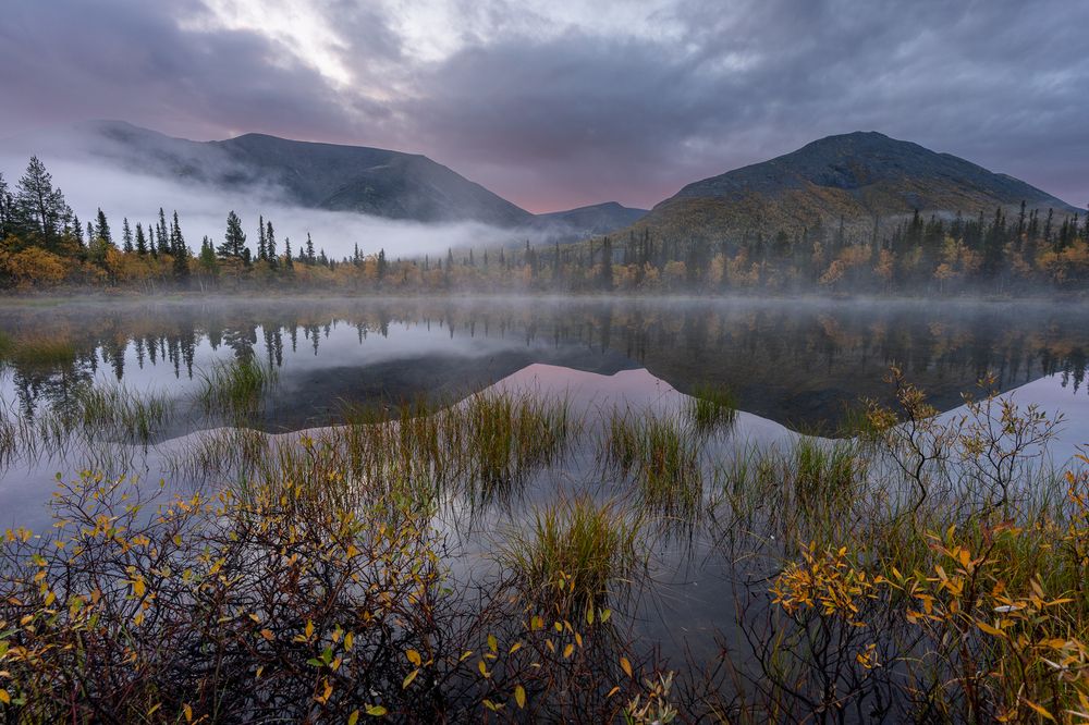 Photograph by Maria Pochikaeva