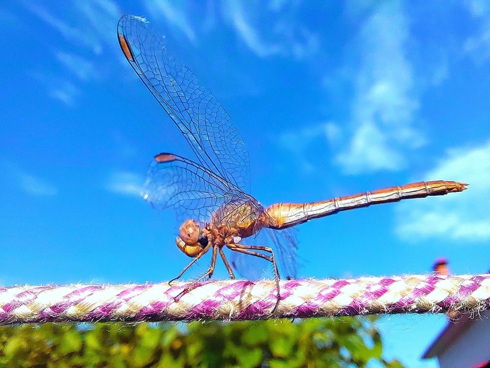 Photograph by Куделенко Оксана