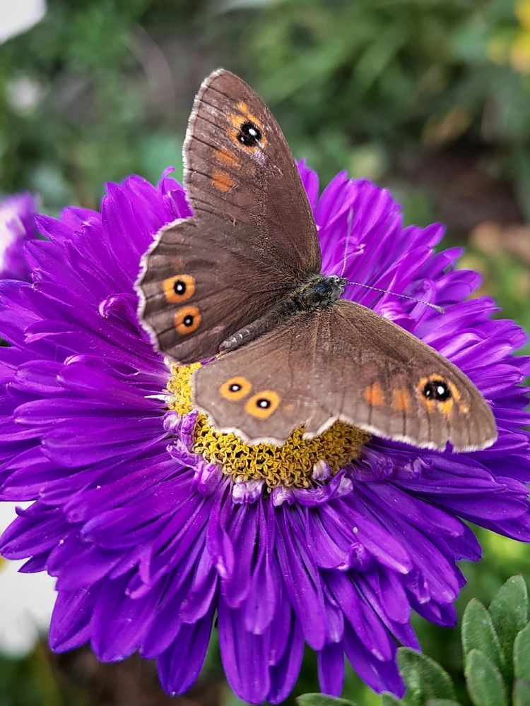 Photograph by Куделенко Оксана