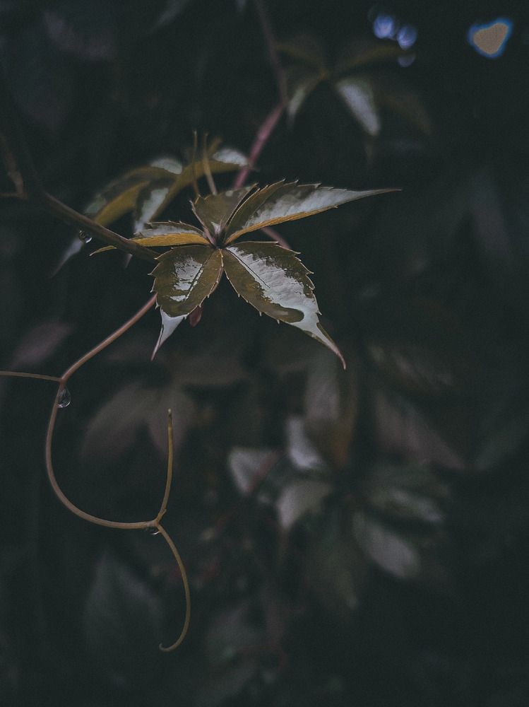 Photograph by Дарья Макаревич