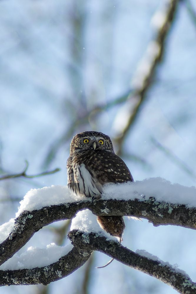 Photograph by Карина Заводчикова