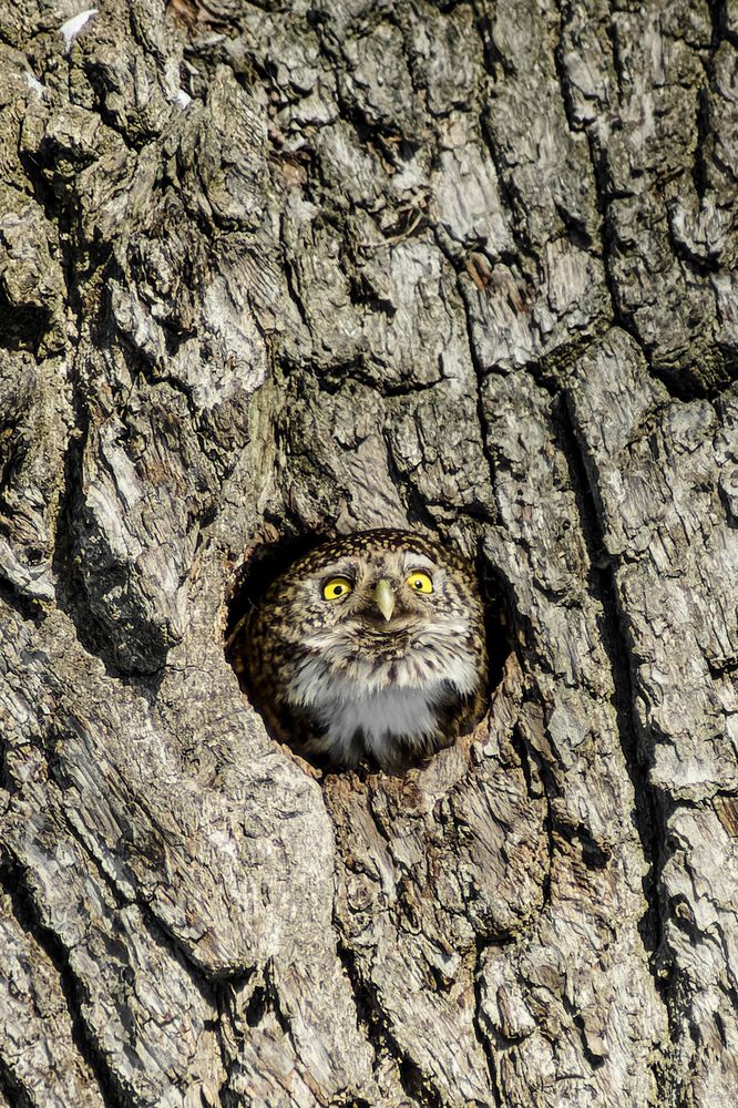 Photograph by Карина Заводчикова