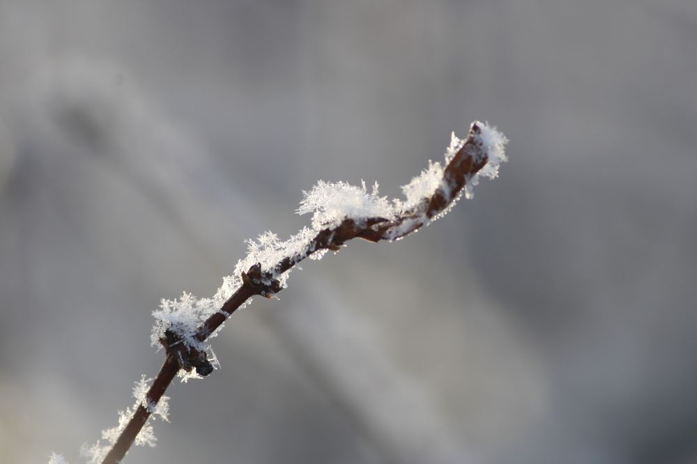 Photograph by Людмила Мелашич