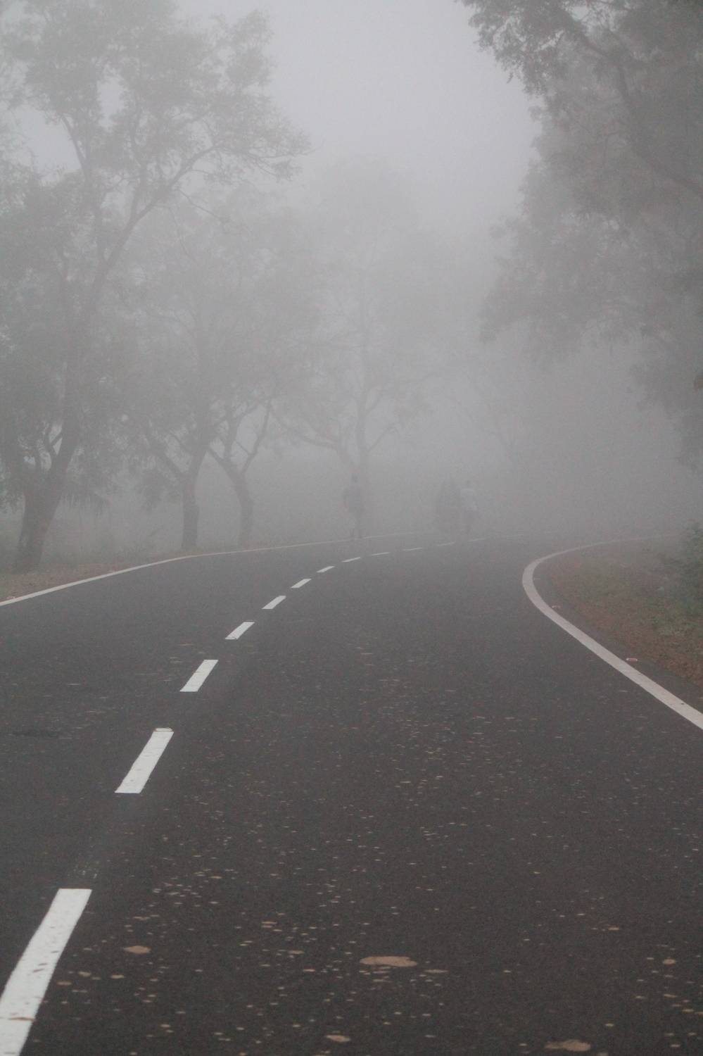 Photo #11895870