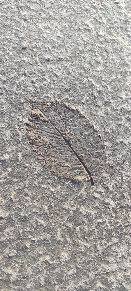 Photograph by Ирина Бочарова