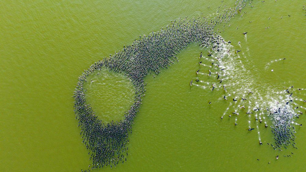 Photograph by Kuldeep Lodhi