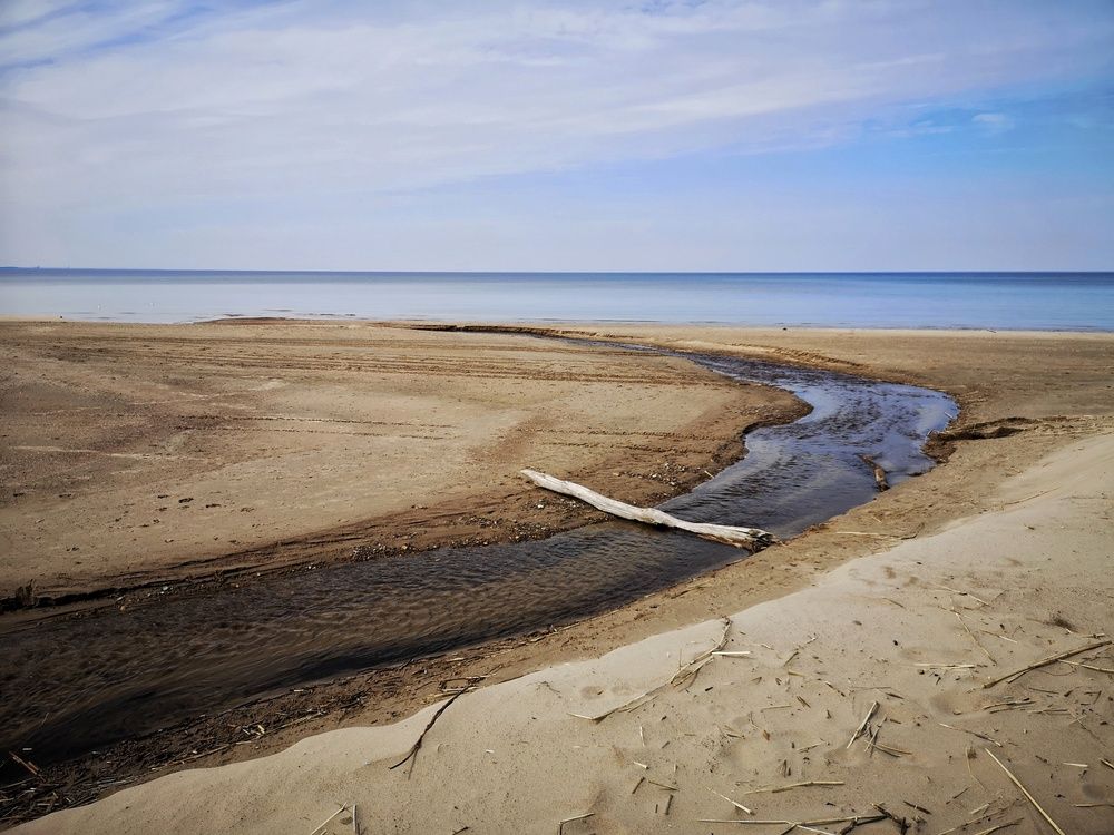 Photograph by Olga Asson