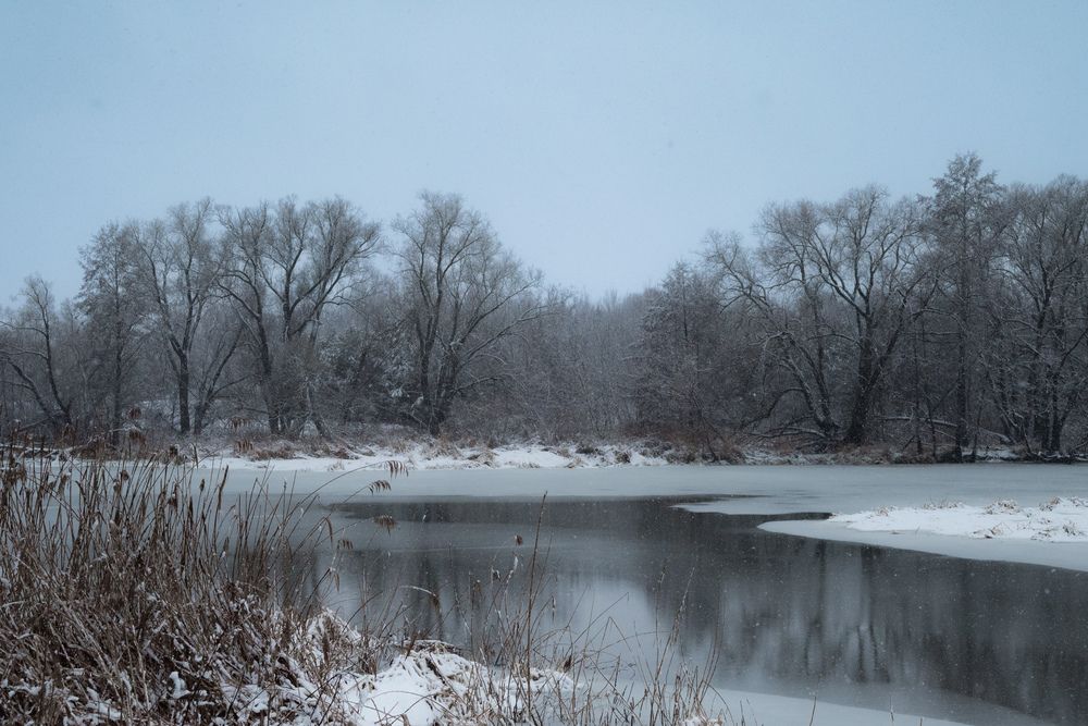 Photograph by Ольга Моисеева