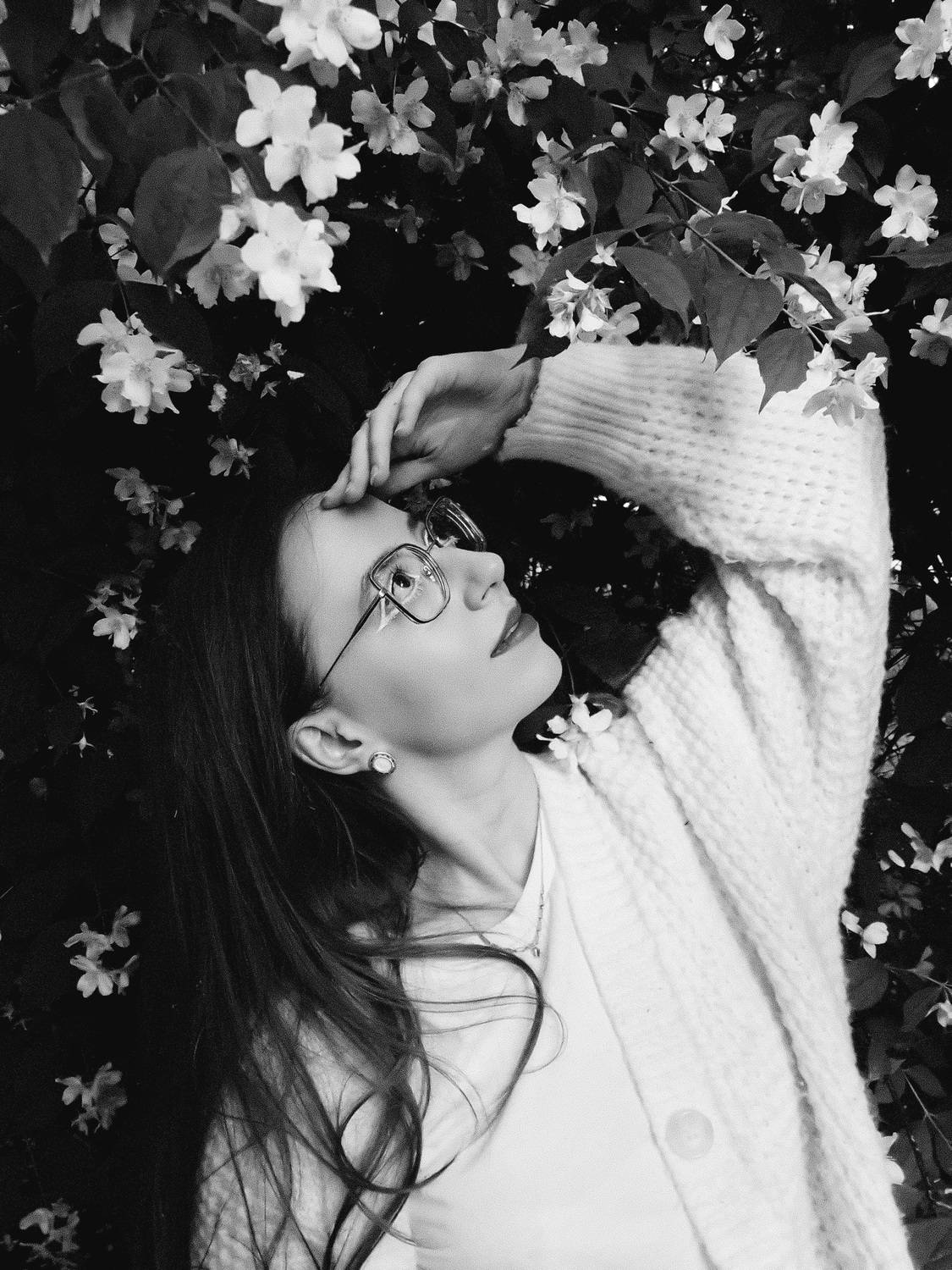 Photo #11895968