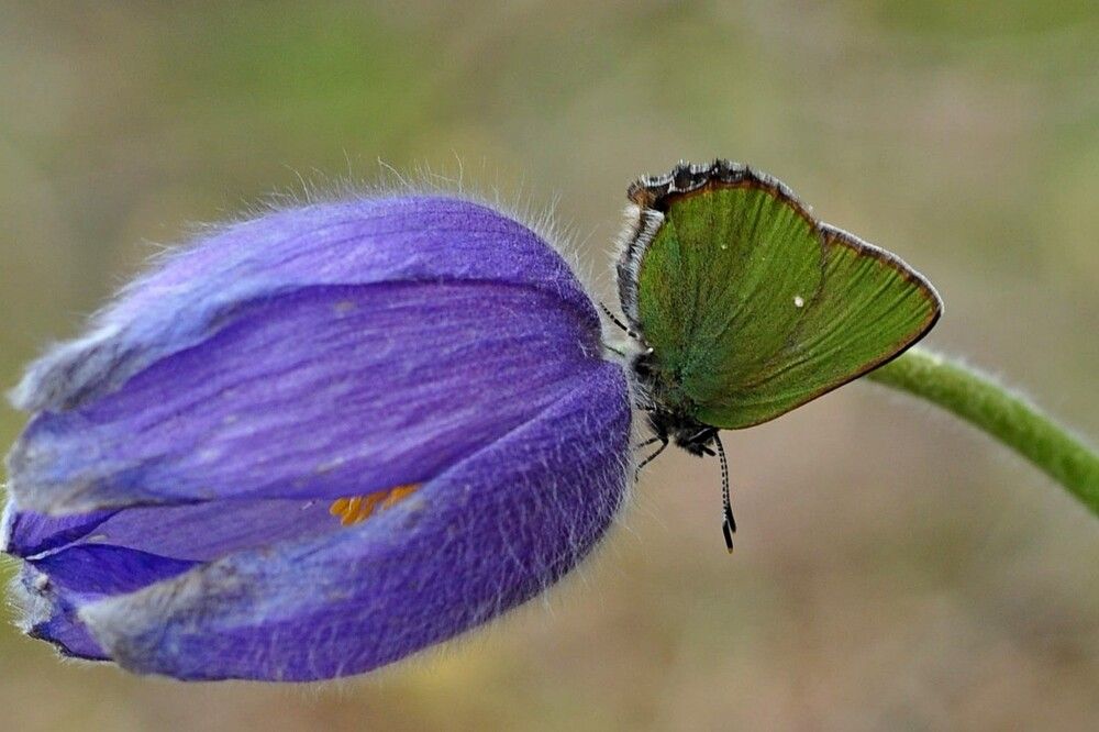 Photograph by Надежда Рудакова