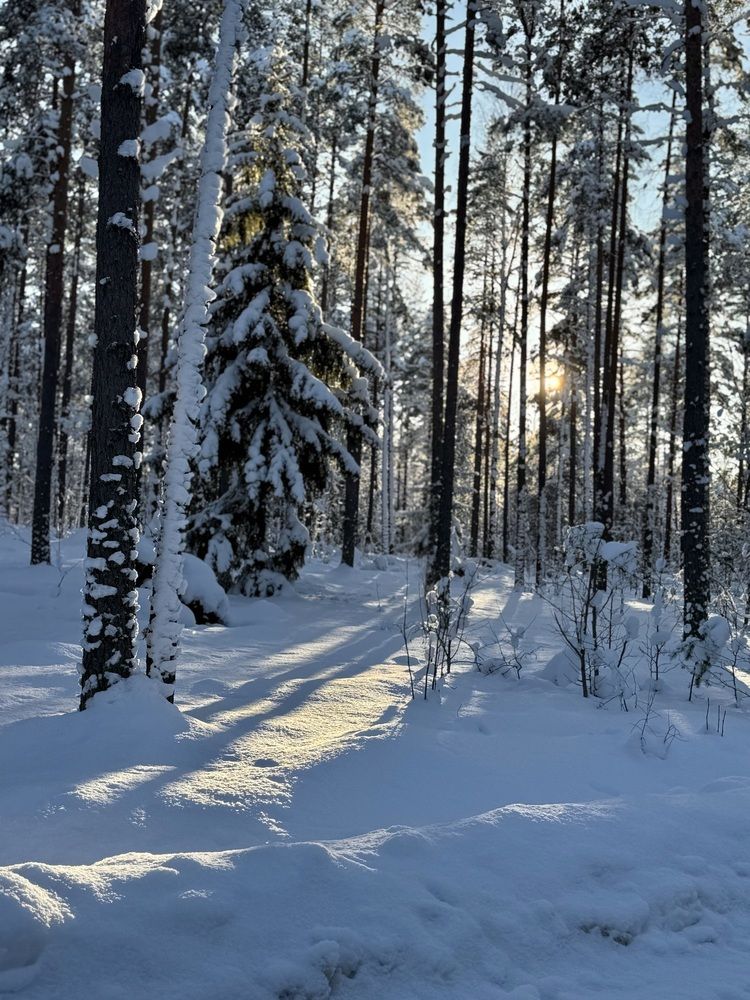 Photograph by Елена Ковалева