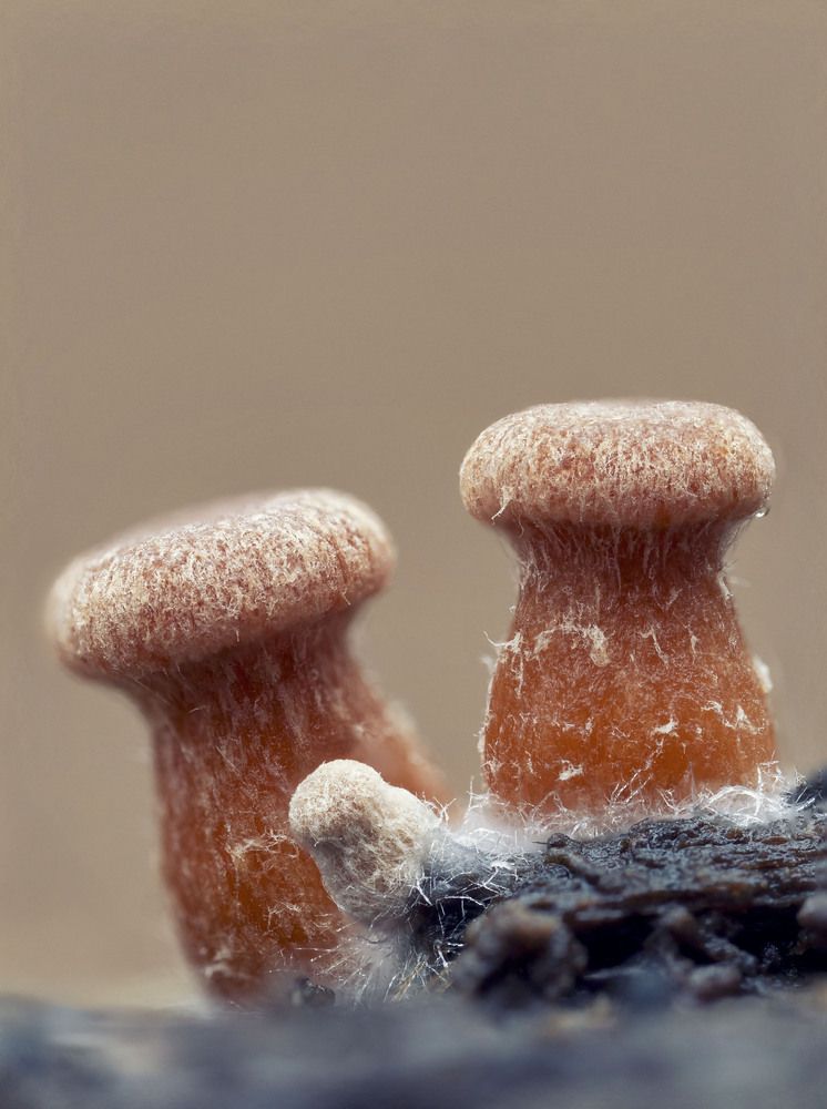 Photograph by Sergio Gomez Dominguez