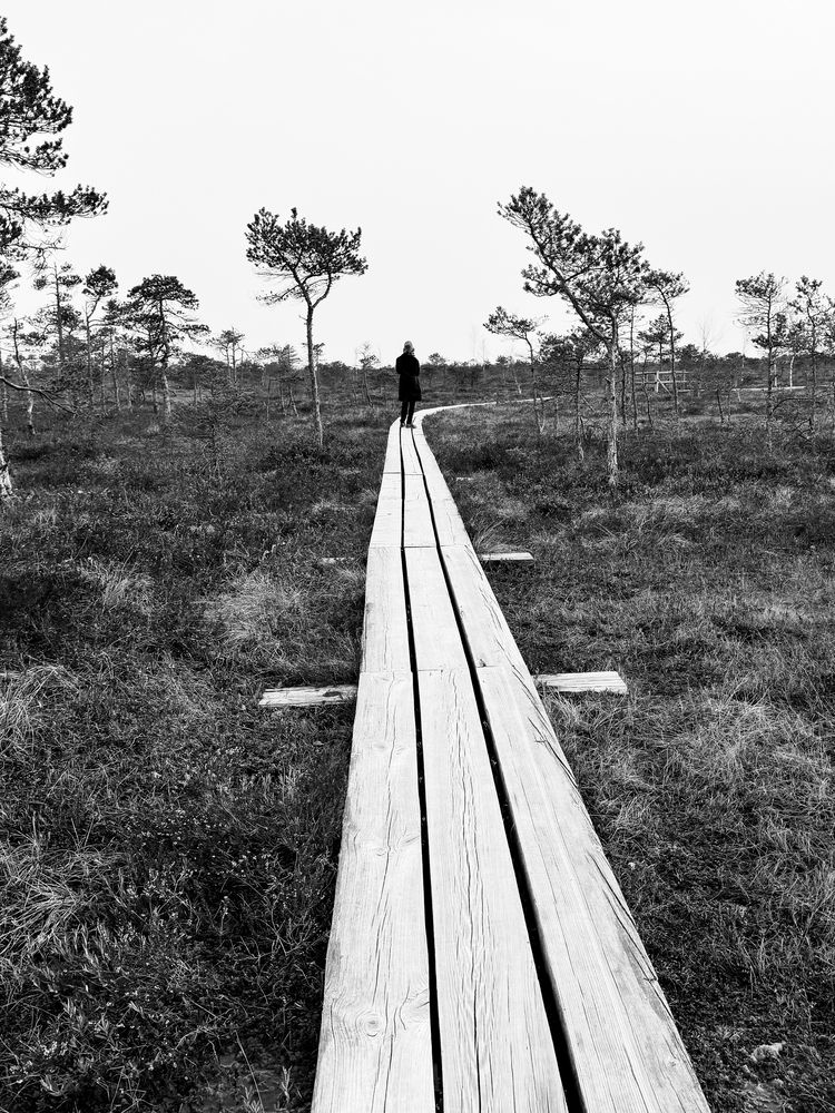 Фотография автора Dace Laukmane