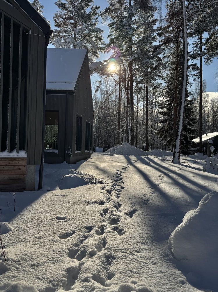 Photograph by Елена Ковалева