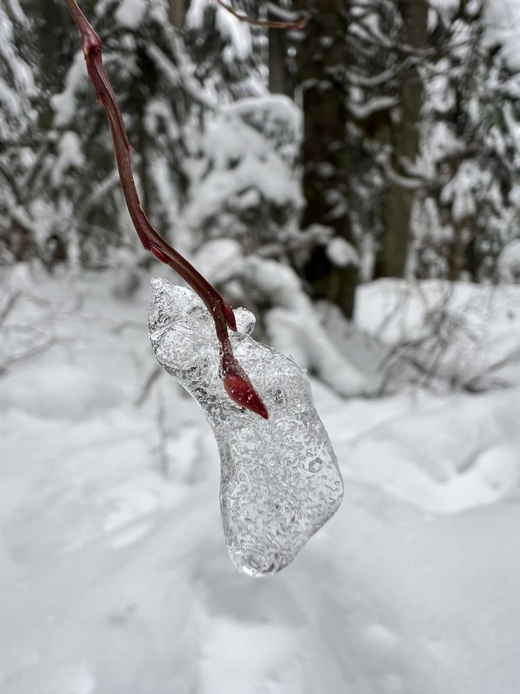 Фотография автора Diana