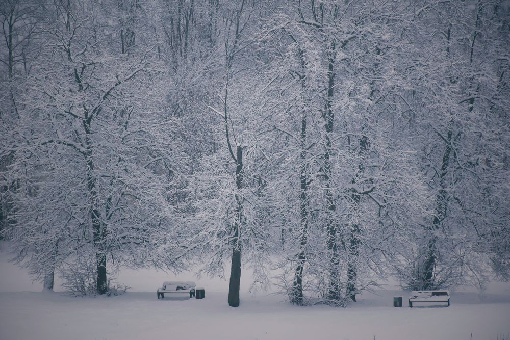 Photograph by Даников Анастасия