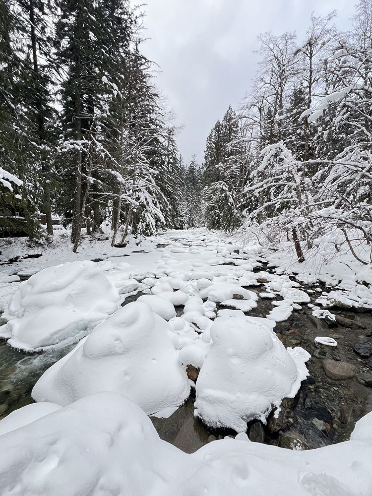 Фотография автора Diana