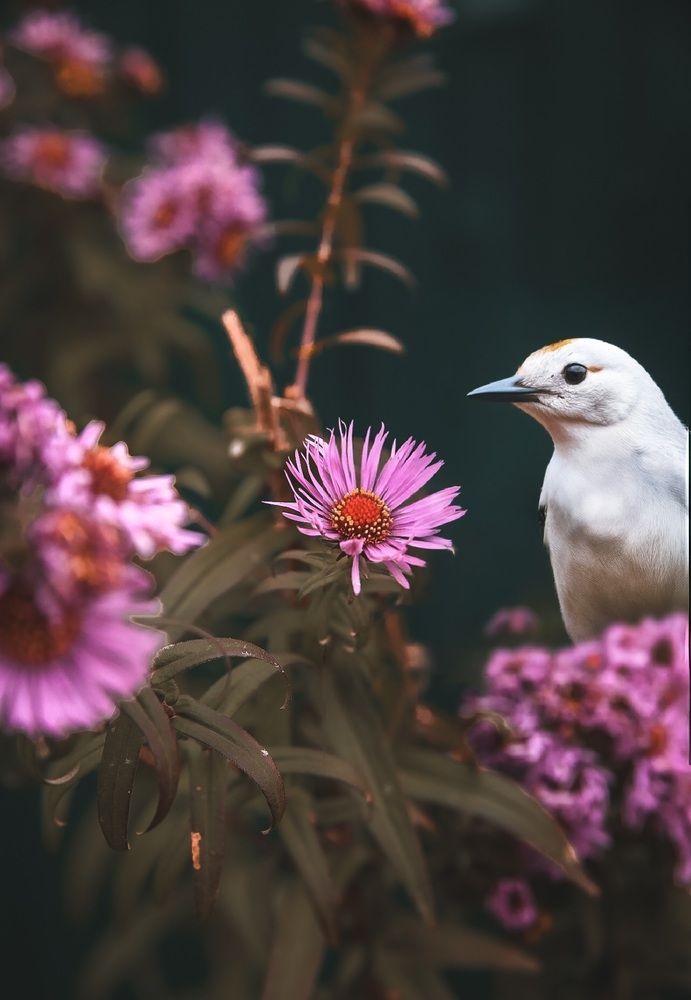 Photograph by Анжелика Сидорова