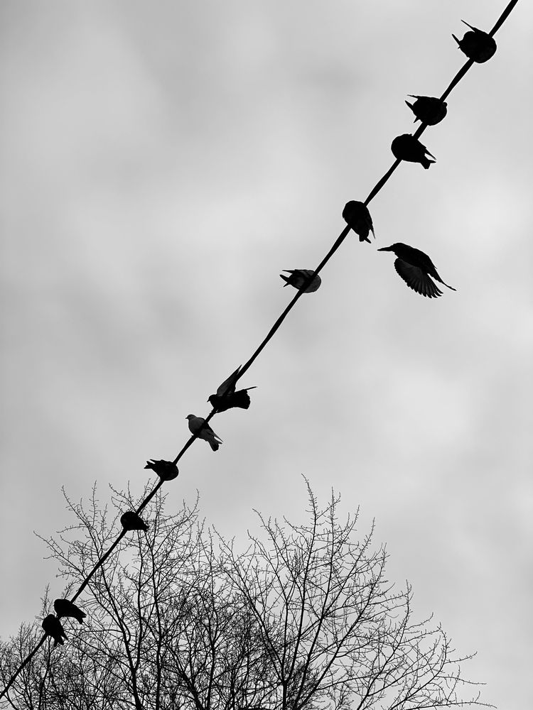 Photograph by Татьяна