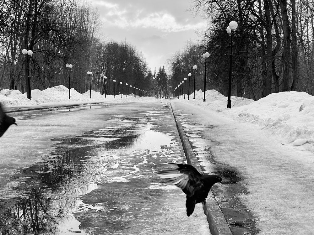 Photograph by Татьяна