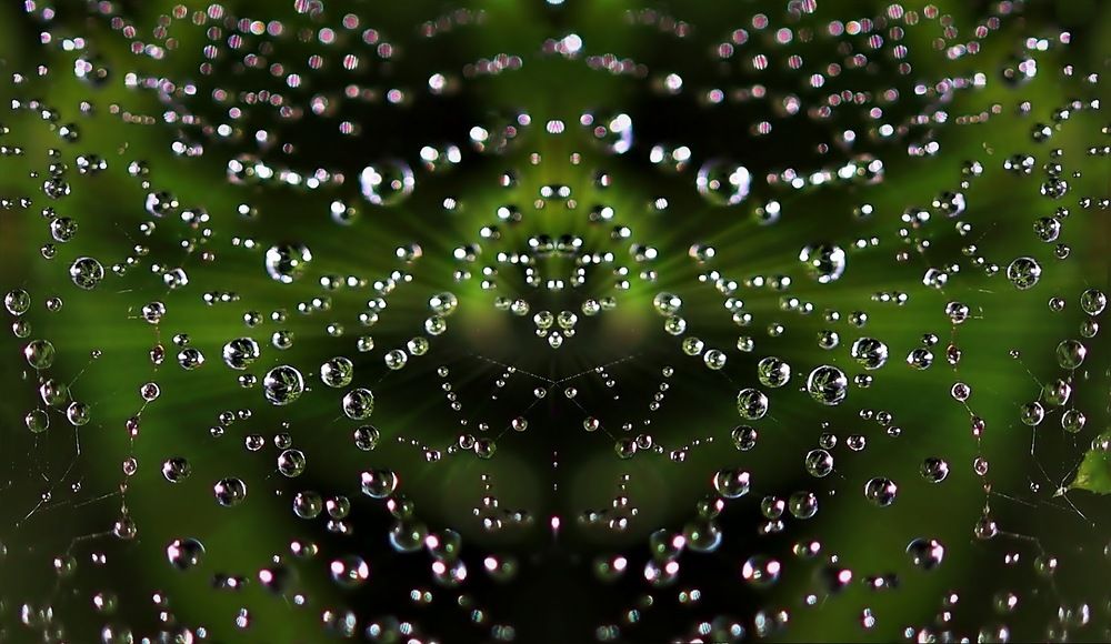 Photograph by Sergey Platonoff