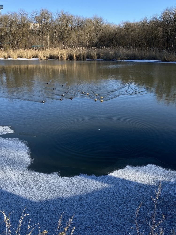 Photograph by Оксана Михайлова