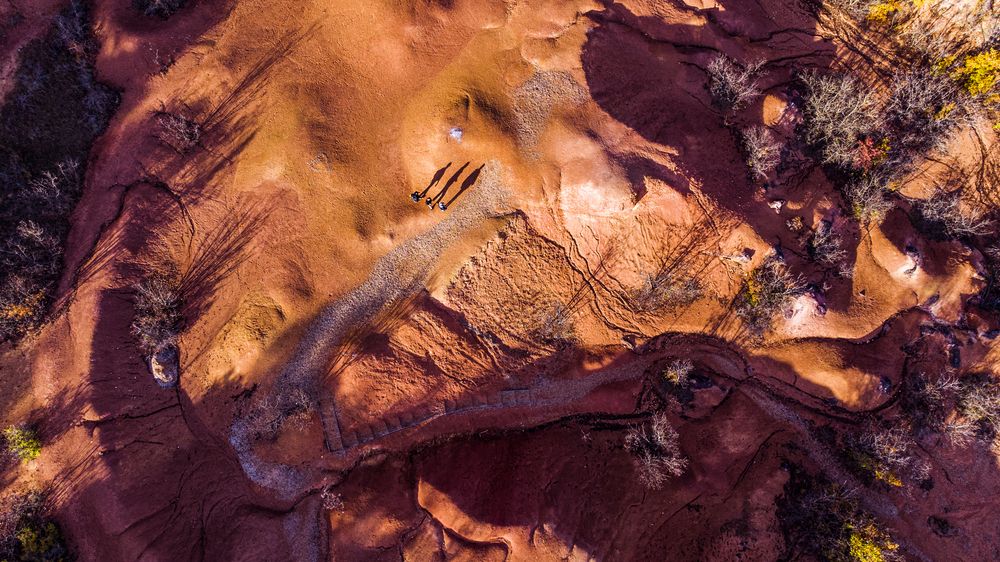 Photograph by Zsuzsa Hullan