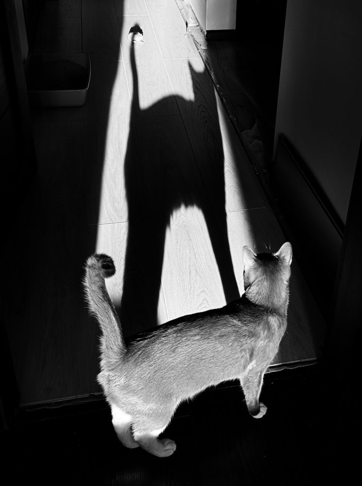 Photograph by Andrey Matveenko