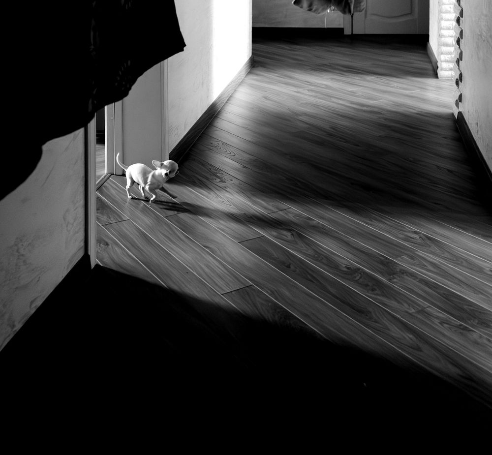 Фотография автора Наталья Новикова