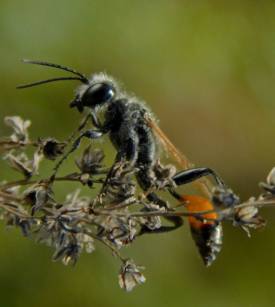 Photograph by Сергей Чеченов