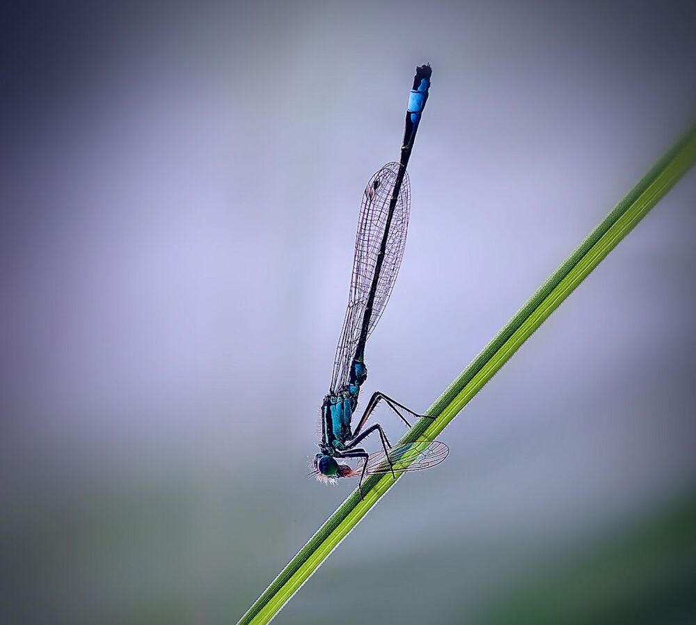 Photograph by Sergey Platonoff