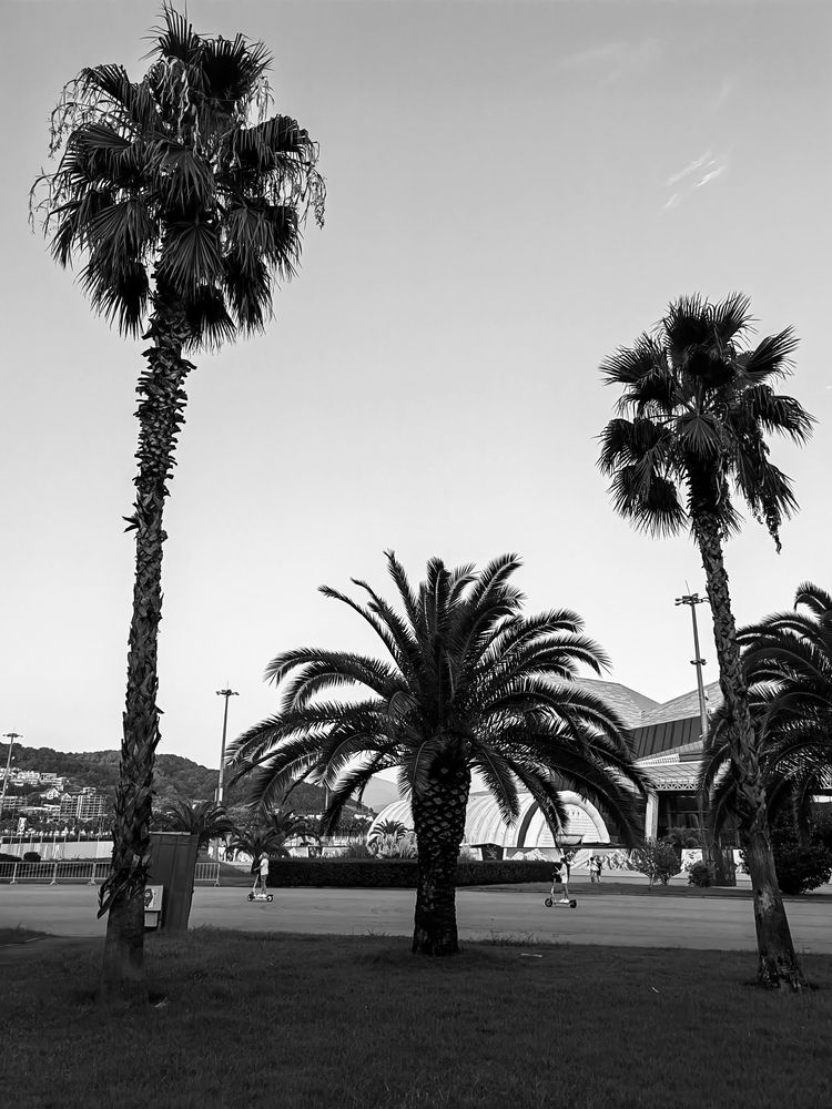 Photograph by Анна Горичева