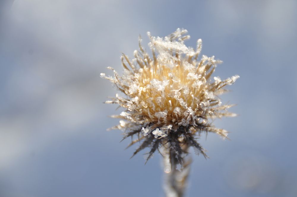 Photograph by Оксана Бутрим