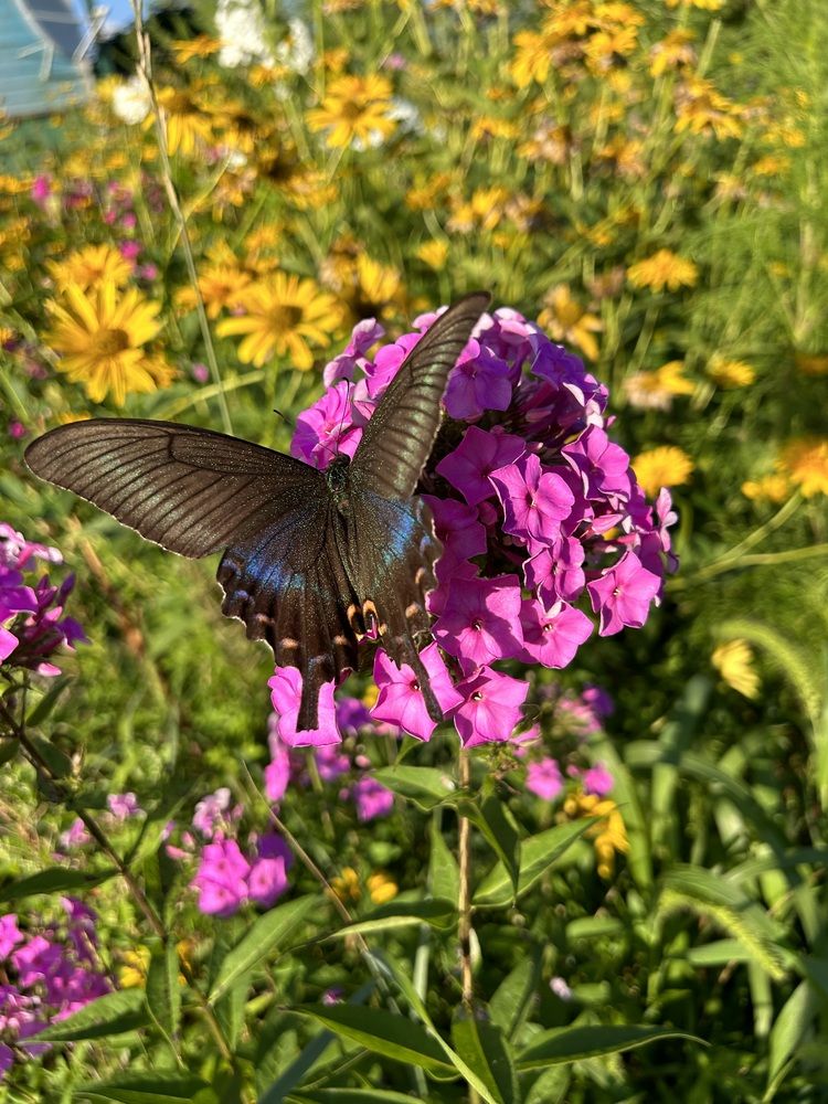 Photograph by Елена Власова