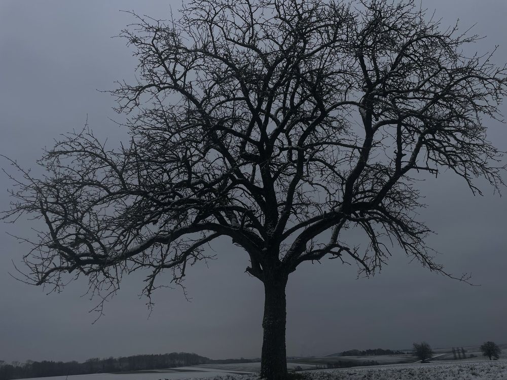 Фотография автора Валерия Крючкова