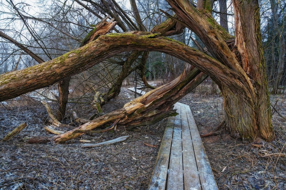 Photograph by Андрей Пучков