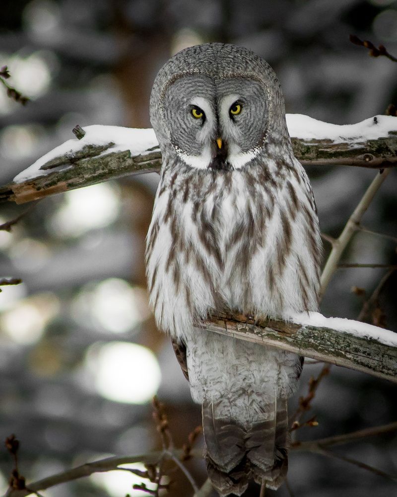 Фотография автора Суслов Дмитрий