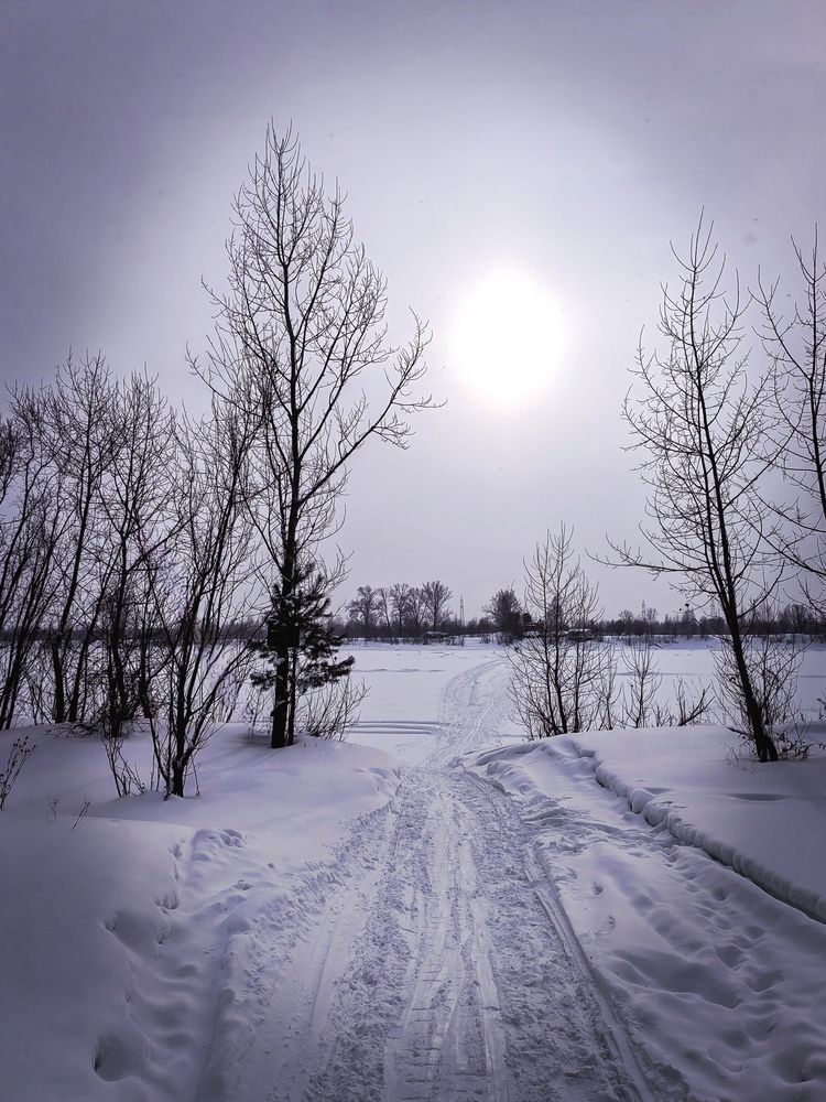 Photograph by Анна Горичева