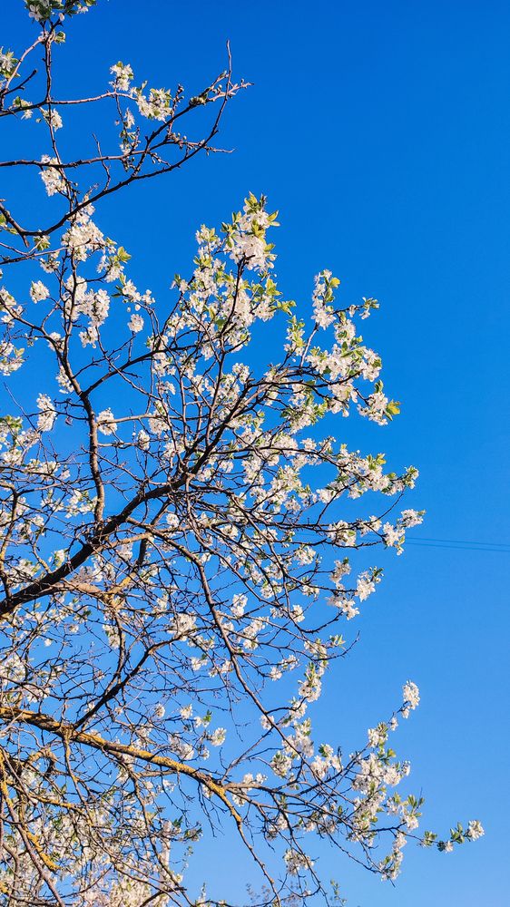 Photograph by Ирина Львова