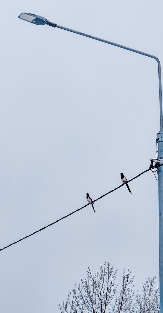 Photograph by Ирина Львова