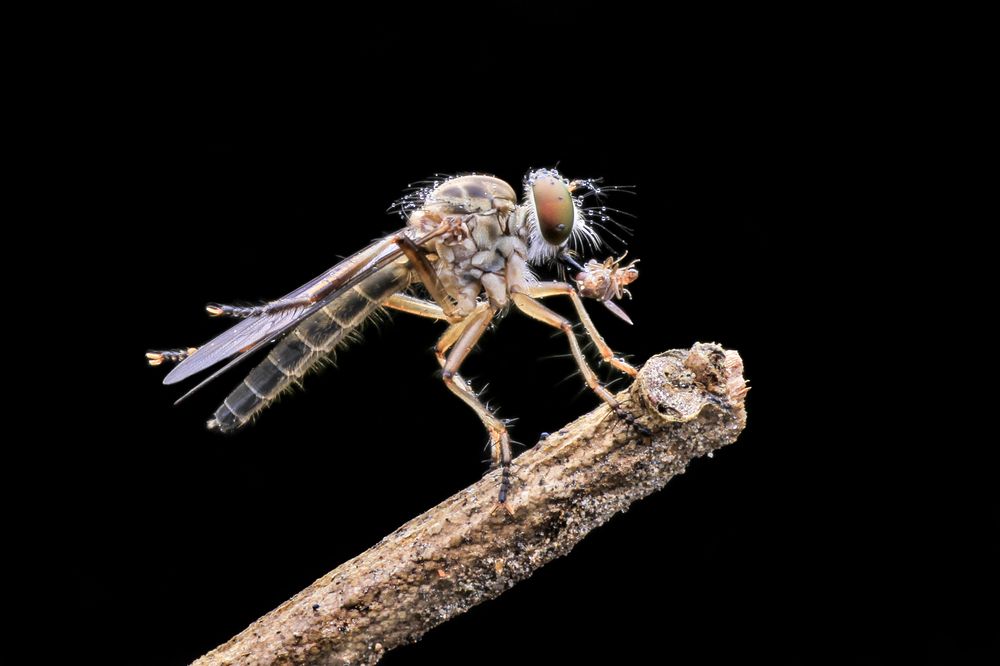 Photograph by Yulianto Pongge