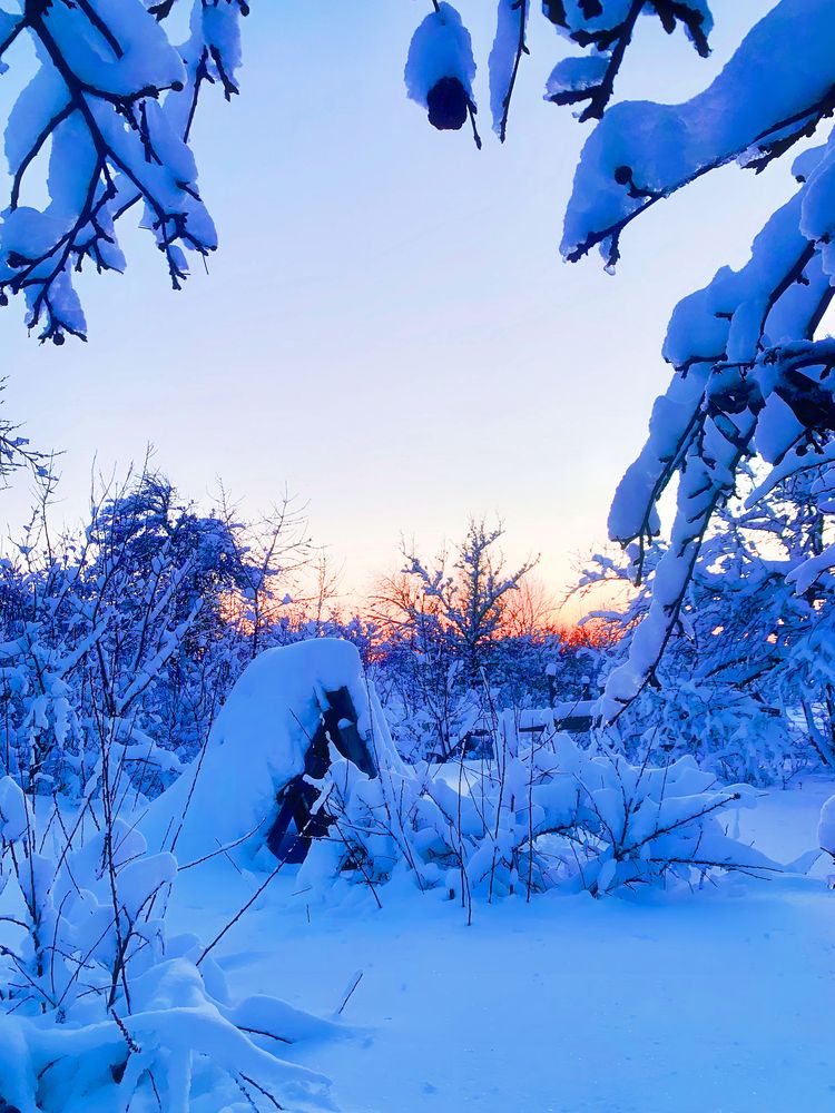 Синий закат