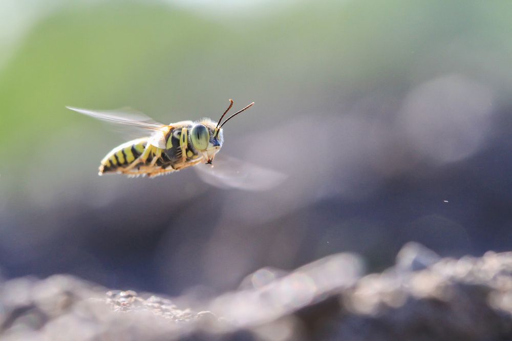 Photograph by Yulianto Pongge