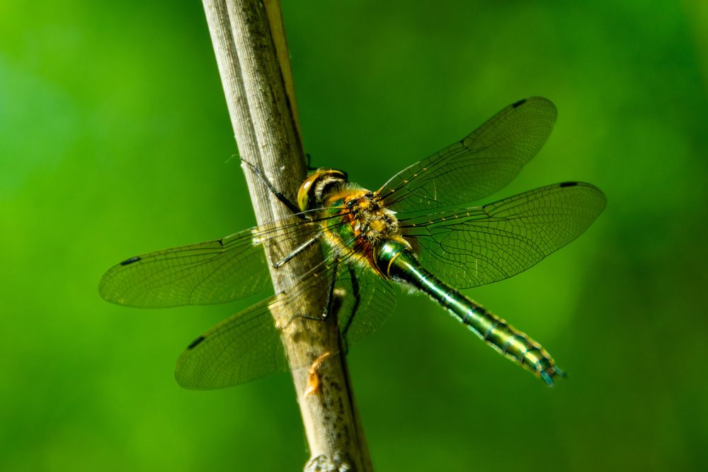 Photograph by Владимир Рогулькин