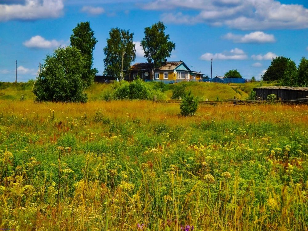 Деревенское раздолье