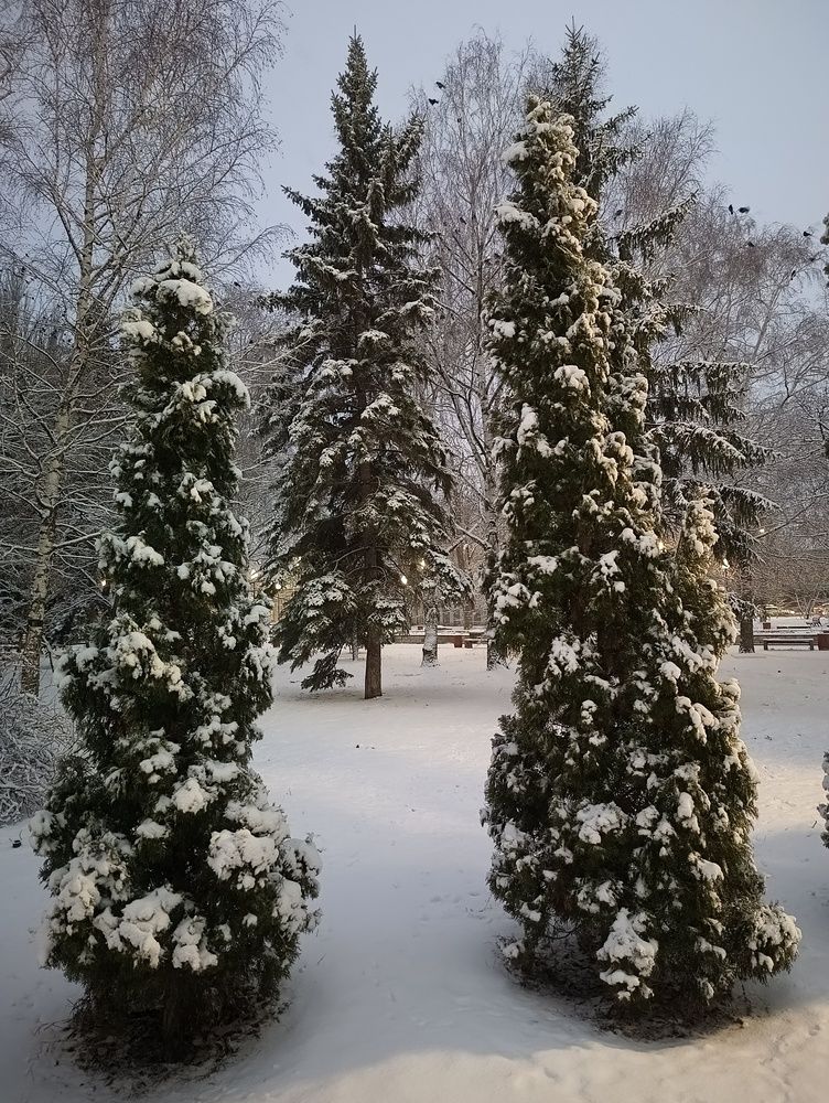 Фотография автора Елена Александрова