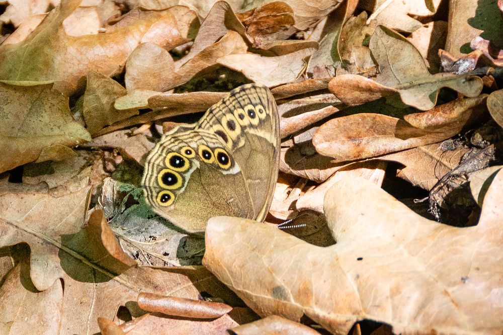 Photograph by Владимир Рогулькин